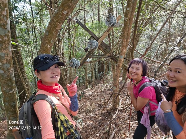【谷關七雄】波津加(H1771.6m)肉腳配速成功2670515