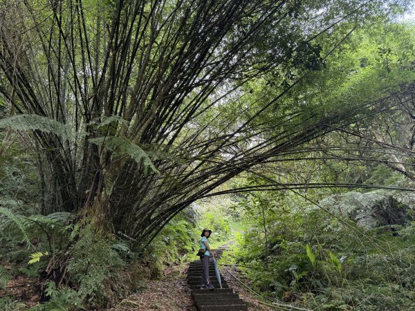 天上山+大棟山 2025.07.202864414