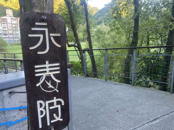 【四獸山 Short】虎豹象先行！獅山封閉中，等新步道開箱再相見2888875