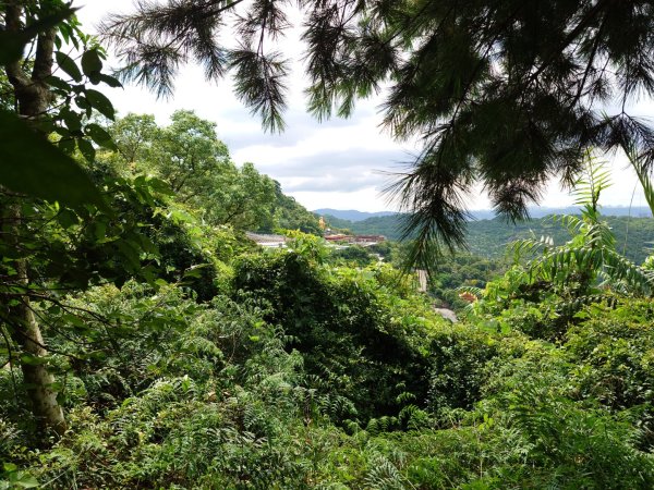 微笑山線之烘爐地任務2836462