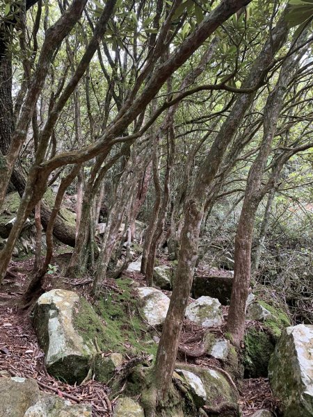 鳶嘴山（台中市和平區）2509660