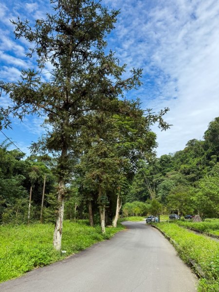 埔里能高瀑布-慶安步道-觀景台2801457