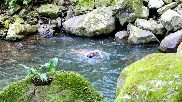 番王厝,番婆厝,王子厝,公主厝2827602