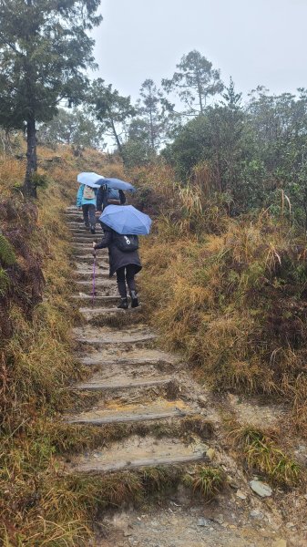 2025-0222 翠峰湖環山步道2718638