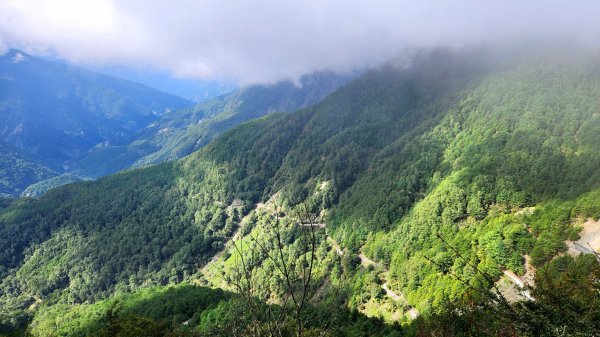 玉山前峰，關子嶺大凍山，宜蘭拳頭姆自然步道2313388