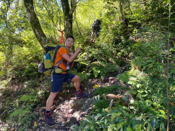 雙龍林道-巒安堂-西巒大山【一切都很美好 除了肩膀之外】2567820