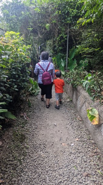 蝴蝶公園-大羅蘭溪古圳步道2551185