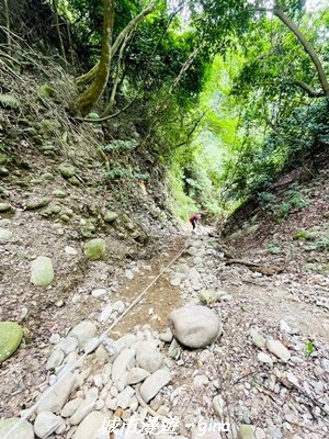 【台中北屯】大坑四號步道x頭嵙山3090954
