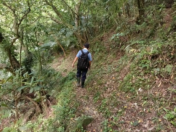 貢寮區龍洞坑古道+苦苓嶺+南雅山+海園古道O型2954608