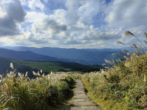 2023.11.23 桃源谷內寮線登灣坑頭山2503648