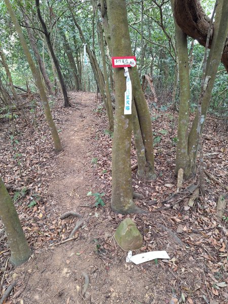 三段崎古道202401222696407