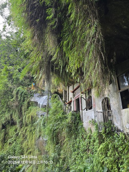 2025-12-14微笑山線：【二格山系】銀河洞越嶺段2962133