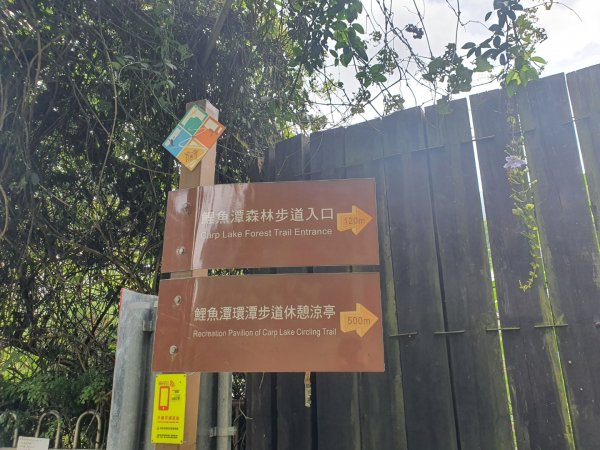 鯉魚潭森林步道(已荒廢）1075220