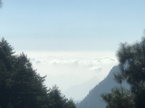 大雪山200林道北三錐山736917