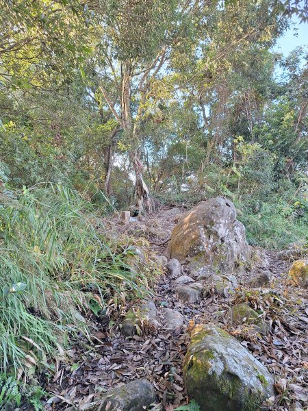 關西赤柯山+東西獅頭山+馬福山+玉山O型2670808