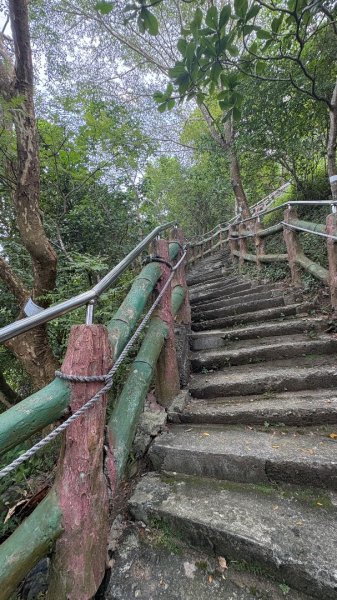 941（旗尾山2905664