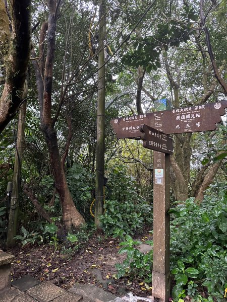 細雨中遠眺101登南港山2043833