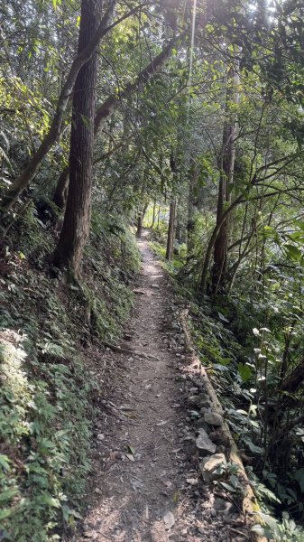 20260117三峽雲森瀑布2990318