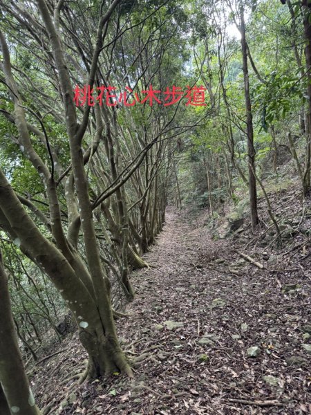 竹子尖山東峰2942294