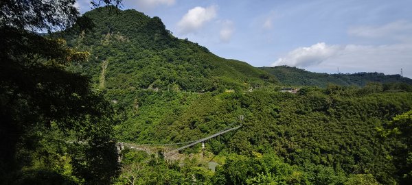 2026/07/05 小烏來天空步道群3085035