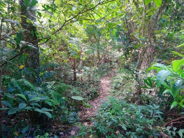 暗影山 小百岳 三等三角點4181690849