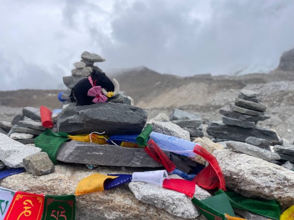 尼泊爾聖母峰EBC基地營❤️風景篇2791050