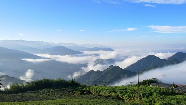 【巃頭-龍銀山天氣】阿里山日出私房秘境691541