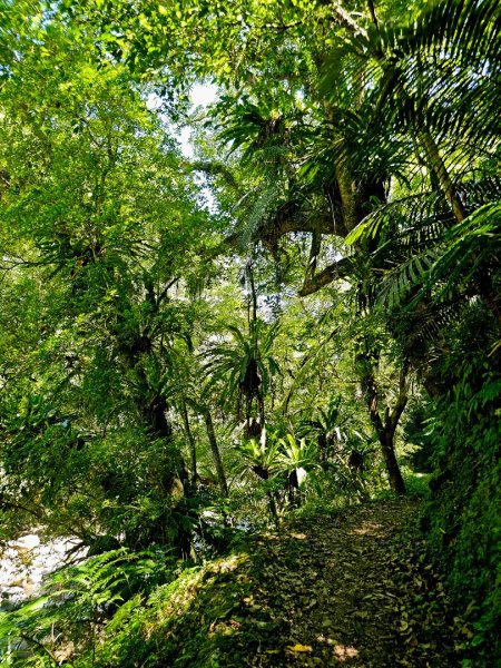 灣潭古道(淡蘭中路)-新北市雙溪區2882678