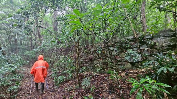 20250413浸水營古道2760337