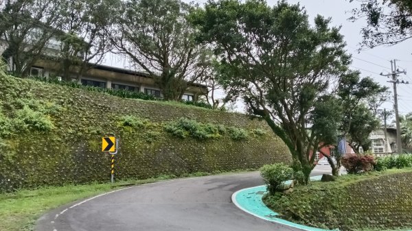 瑞芳區金瓜石地質公園-大粗坑古道(大粗坑山+小金瓜露頭)-樹梅坪-百二崁古道-金瓜石地質公園步道O型3055281
