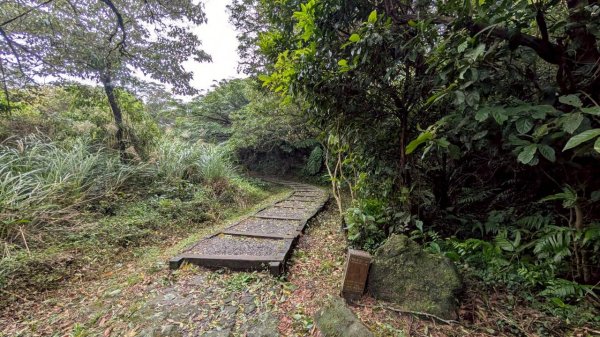114.11.01旅聯網21週年活動之七星山-七星山東峰-七星公園-夢幻湖2928896