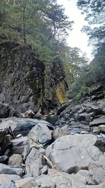 20251214合歡西北下華崗2963731