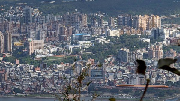 硬漢嶺步道(觀音山)2935152