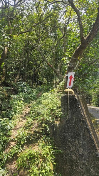 20250625遠望坑口-遠望坑崙-176峰-陸軍路礦864-遠望坑山O型2826175