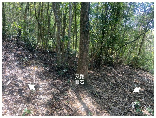 阿里眉山 (日月潭四姝的么妹)2753069