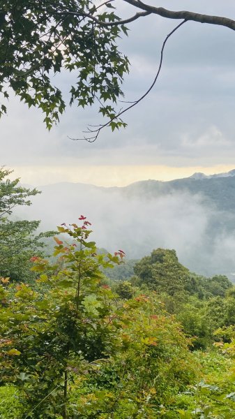 新竹內鳥嘴山+北德拉曼步道1009424