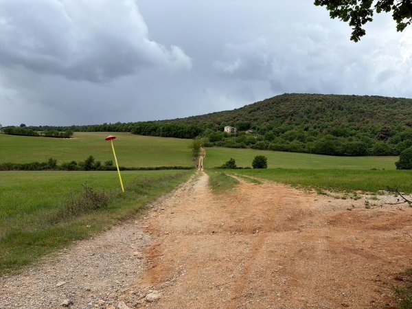 Via Francigena D3: monteriggioni-siena3072810