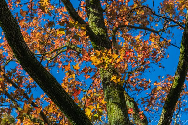 [台北]紗帽山2956574