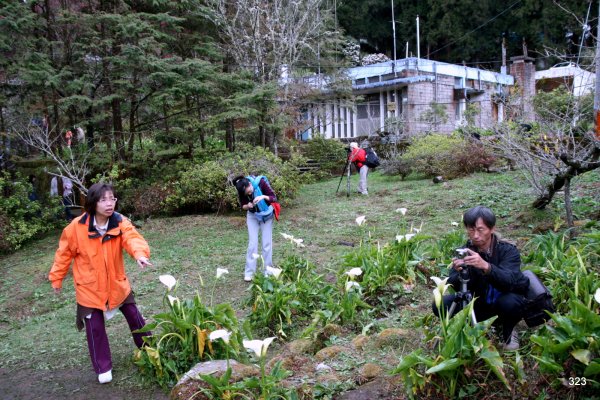 阿里山國家森林遊樂區672154