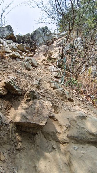 東卯山東南稜原路往返（德芙蘭步道小o繞）尋找失落的石觀音2082142