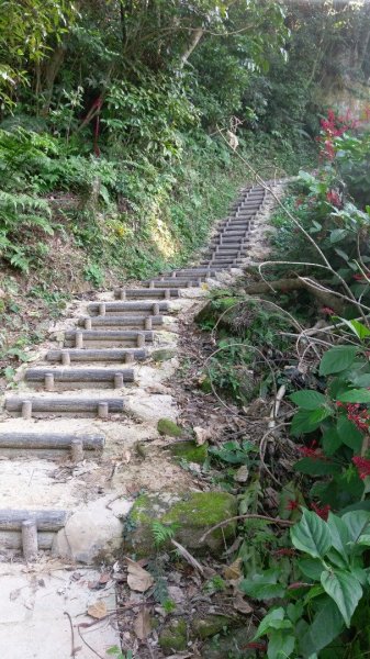 台北大縱走之劍潭山+忠義山445666