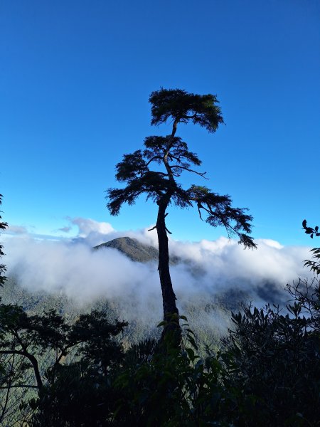 復興三尖之夫婦山+夫婦山西峰202412102667291