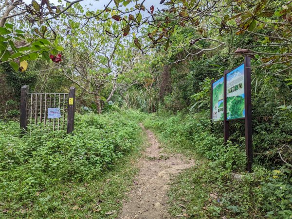 【百大必訪步道—台東】都蘭山步道(小百岳#93)1526210