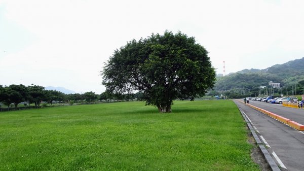 山佳荷花池2172755