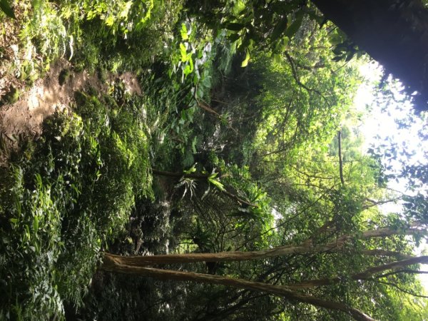 石大佛（石門山、大竹坑、佛陀世界2528054