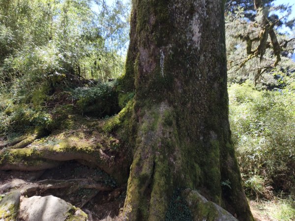 北一段(03/14)多加屯山 2025_0906~132885265