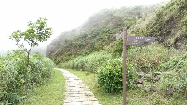 瑞芳區金瓜石地質公園-大粗坑古道(大粗坑山+小金瓜露頭)-樹梅坪-百二崁古道-金瓜石地質公園步道O型3055286