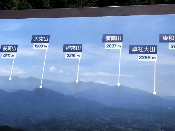 薑麻園桐花步道202006271965407