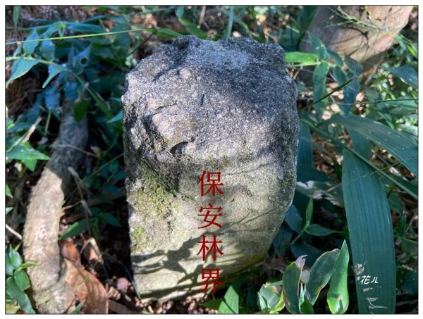 頭社山主峰及基點峰(社頭山)2681591