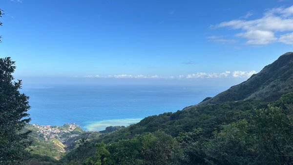 黃金三稜賞芒花2950868